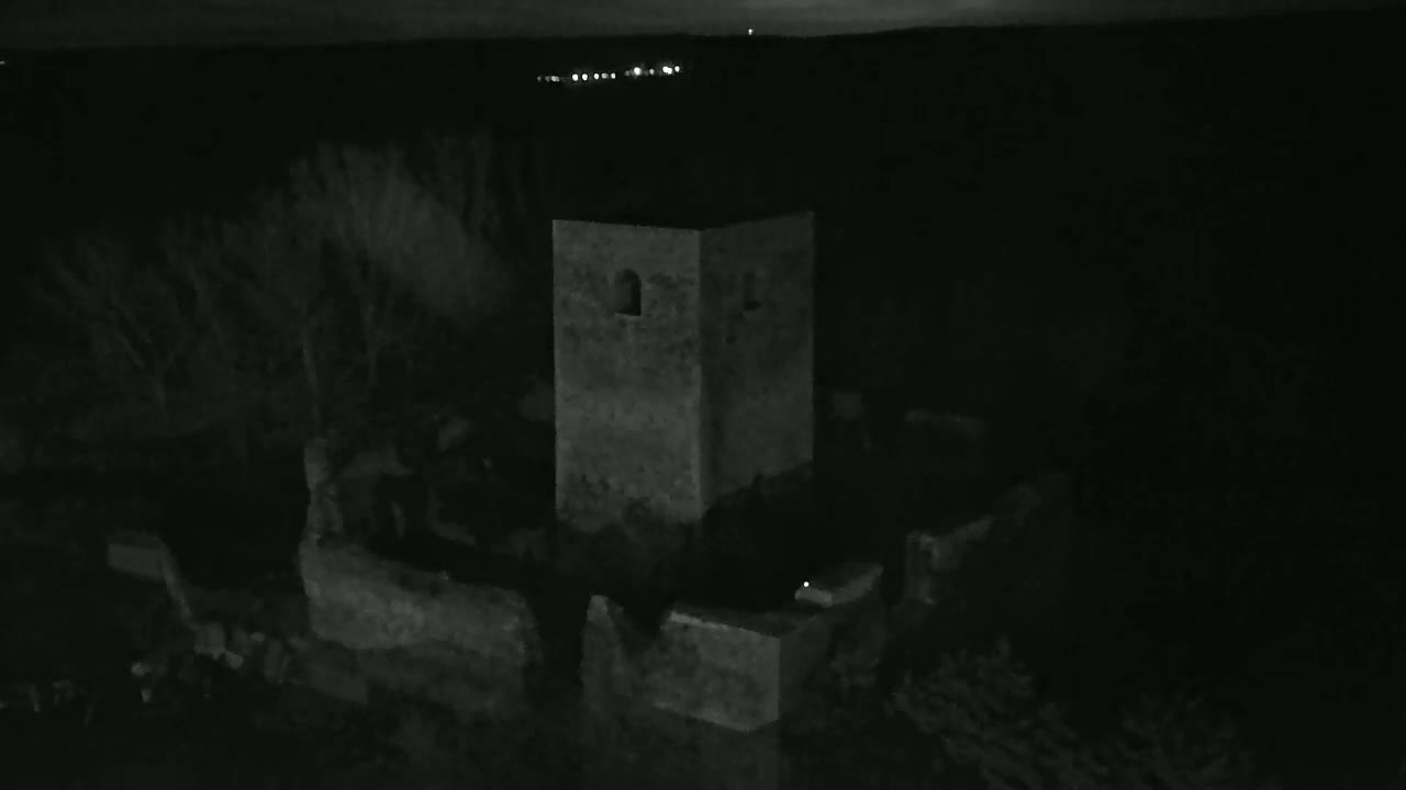 A stone tower structure is visible at night, surrounded by dark vegetation and a dimly lit horizon in the distance.