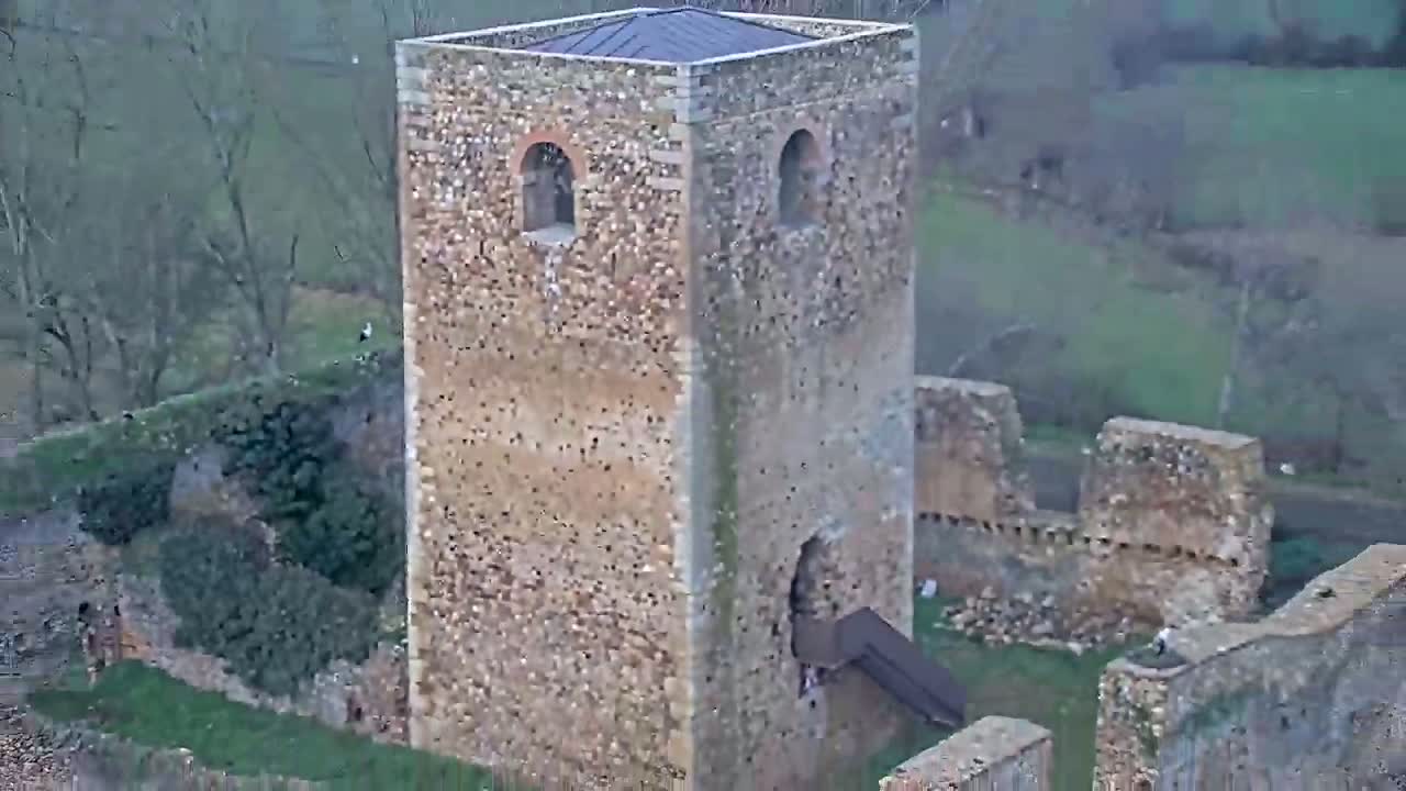 An aerial view shows a tall, stone tower, part of a larger stone ruin, surrounded by overgrown grass and trees on an overcast day.