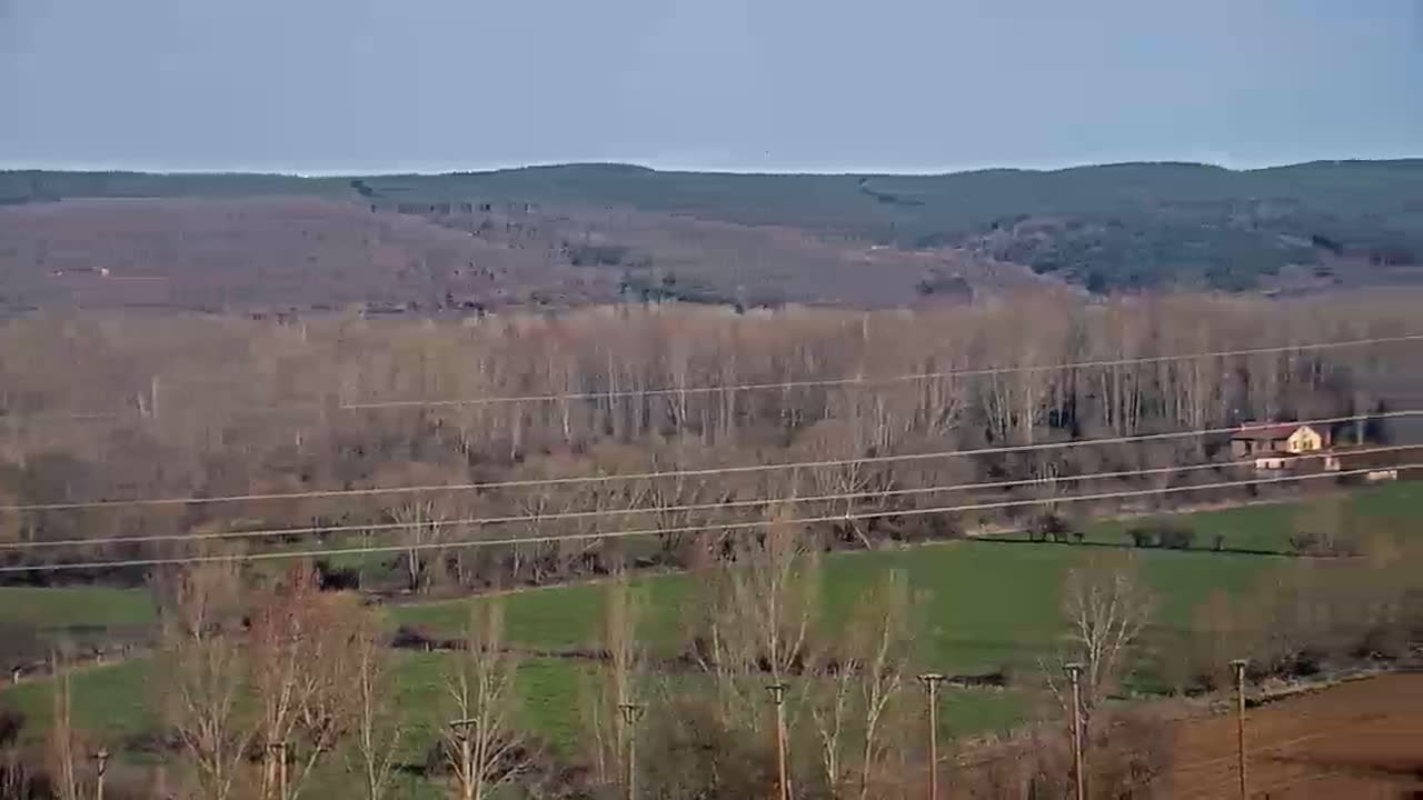 A sprawling landscape of bare trees, green fields, and a distant line of hills under a clear, light-grey sky.