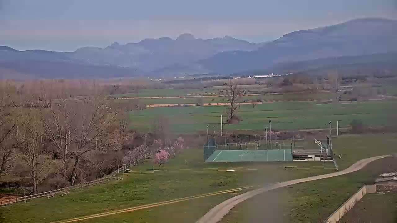 A hazy view of a flat, green valley with bare trees, a small sports court, and distant mountains under a cloudy sky.