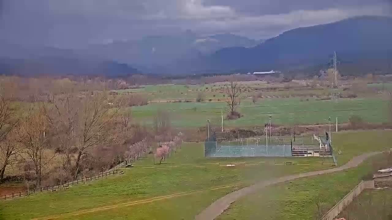 A paved path winds through a grassy field toward an outdoor court, with leafless trees and budding pink trees in the foreground, under an overcast sky, and mountains in the distance.