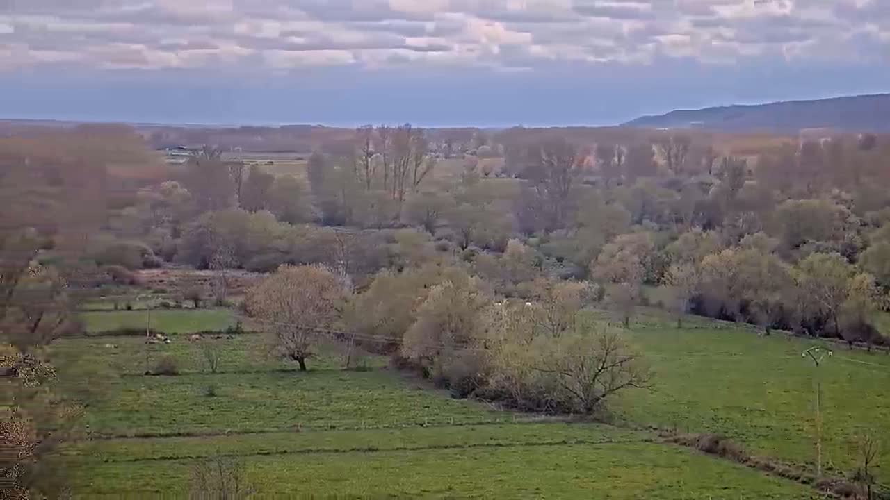 A pastoral landscape under a cloudy sky shows fields of green grass dotted with leafing deciduous trees and a distant rolling hillside.