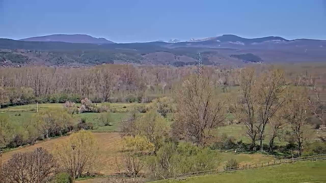 A tranquil valley with bare trees and budding spring foliage stretches towards distant mountains under a clear blue sky.