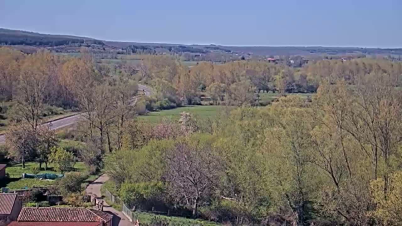 A winding road cuts through a landscape of budding trees and grassy fields under a clear blue sky.