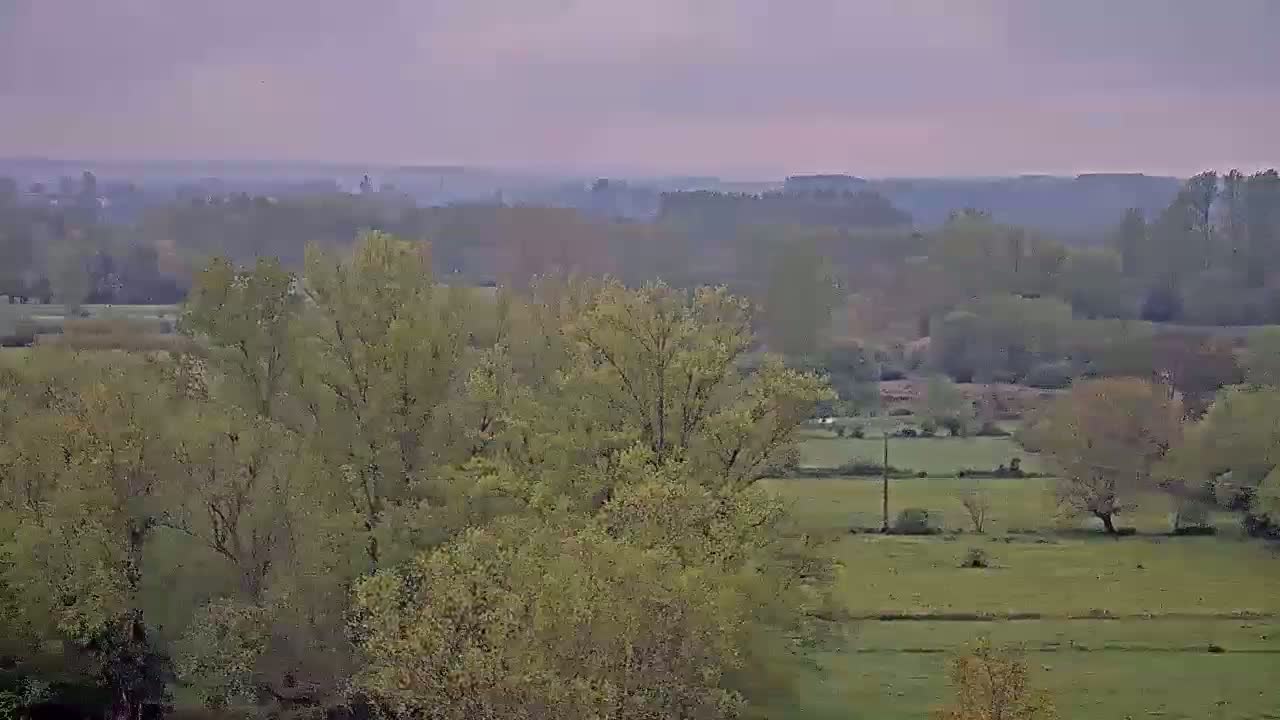 A hazy, overcast view shows a patchwork of green fields and deciduous trees, extending to a distant line of more trees under a pale sky.