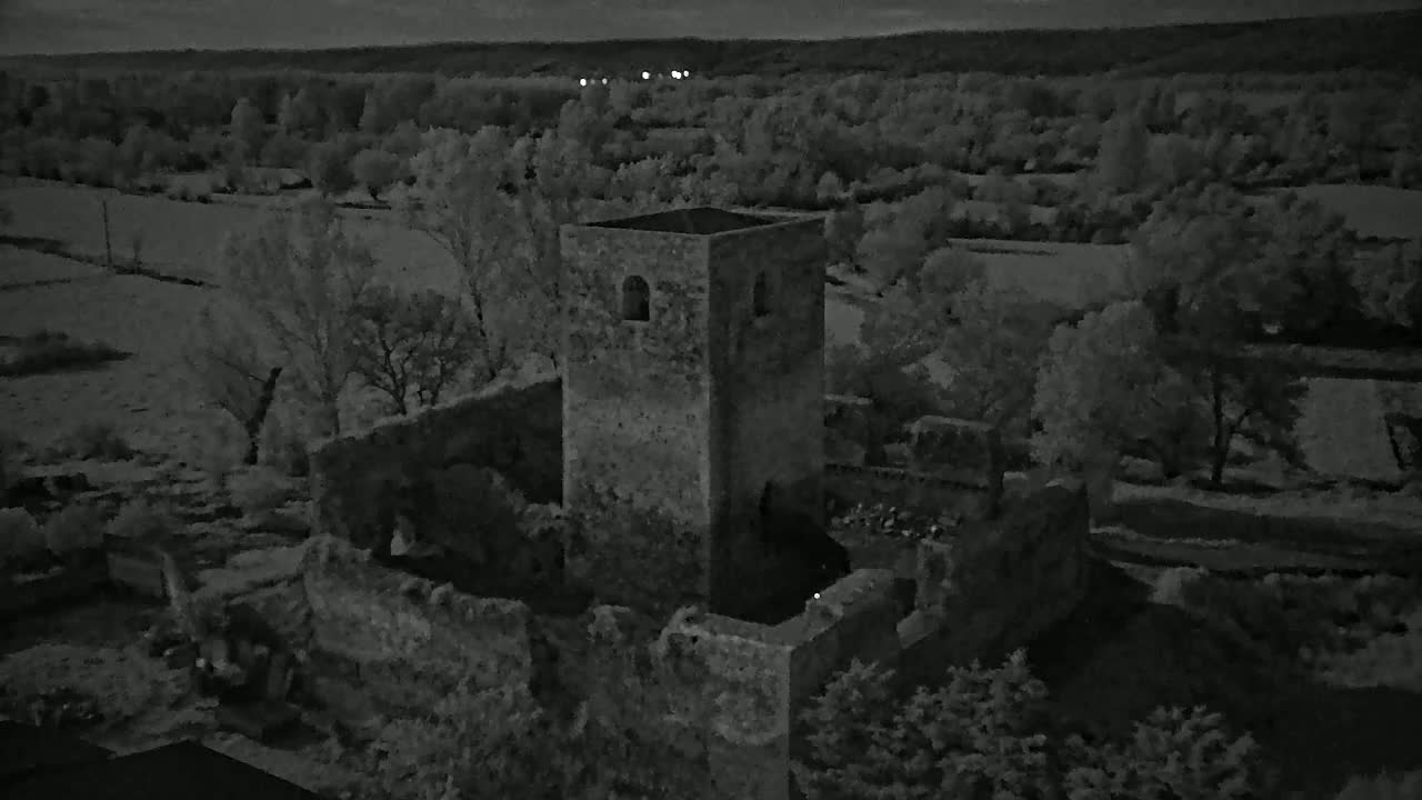 A stone tower and the ruins of a building are situated amidst trees under a dark, possibly night-time sky.