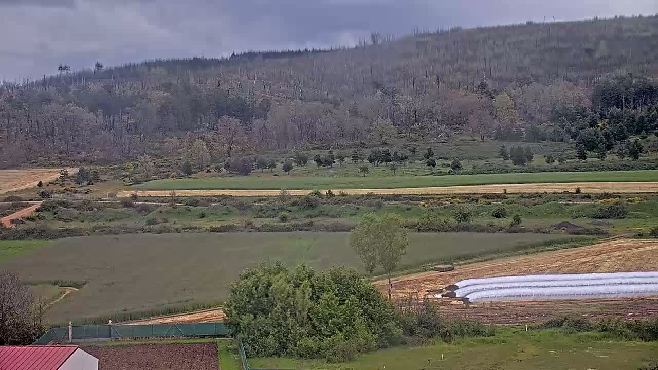 A rural landscape under a cloudy sky features fields of various crops, a hillside of mostly barren trees, and large white agricultural silage bags in a lower field.