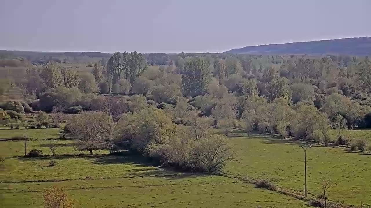 A vast, grassy field stretches out, dotted with deciduous trees and shrubs under a clear sky.