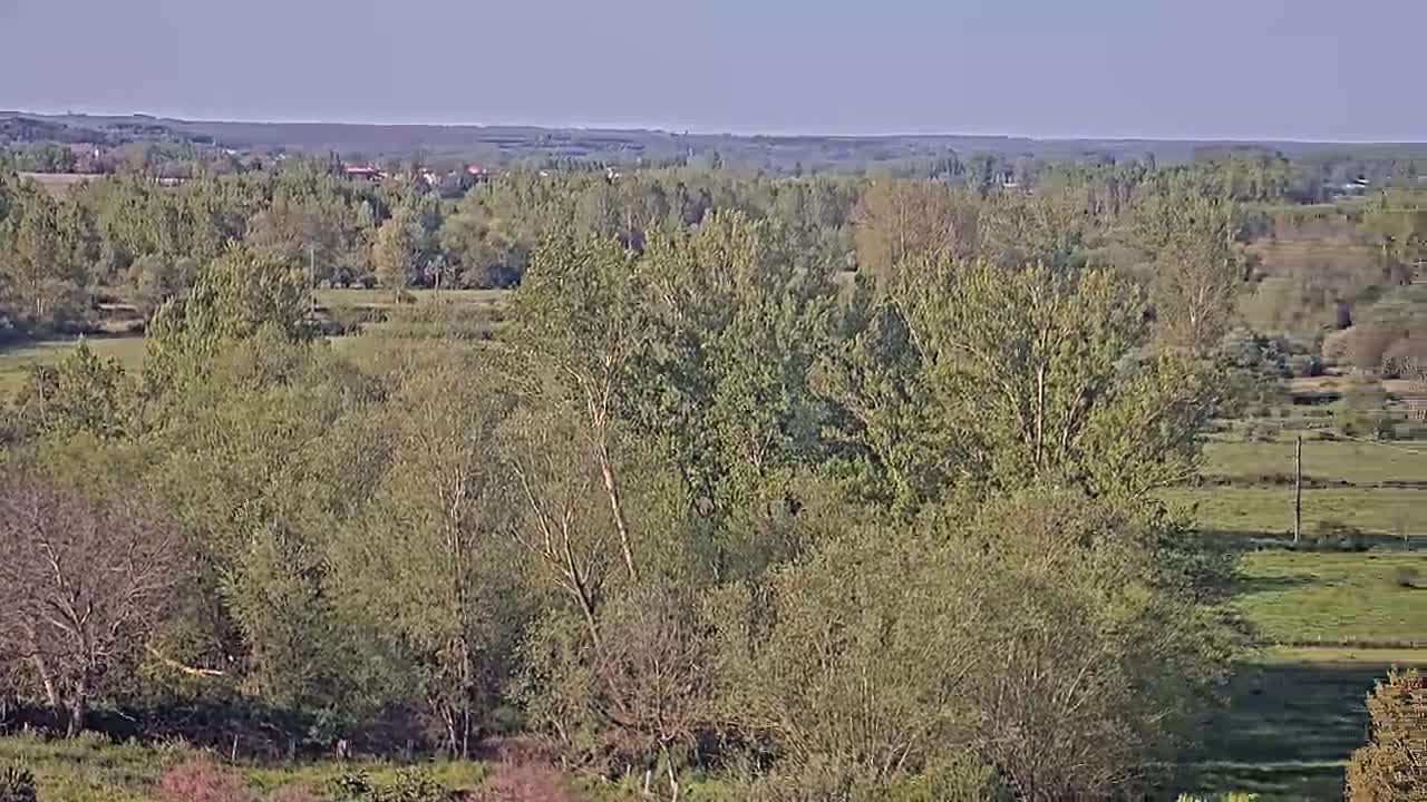 A vast expanse of green trees and fields stretches into the distance under a clear, light blue sky.