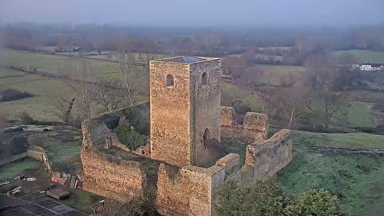 A rustic stone tower featuring arched windows and a dark sloped roof, with two small birds perched on its edge, is set against a backdrop of bare trees and green fields under an overcast sky.