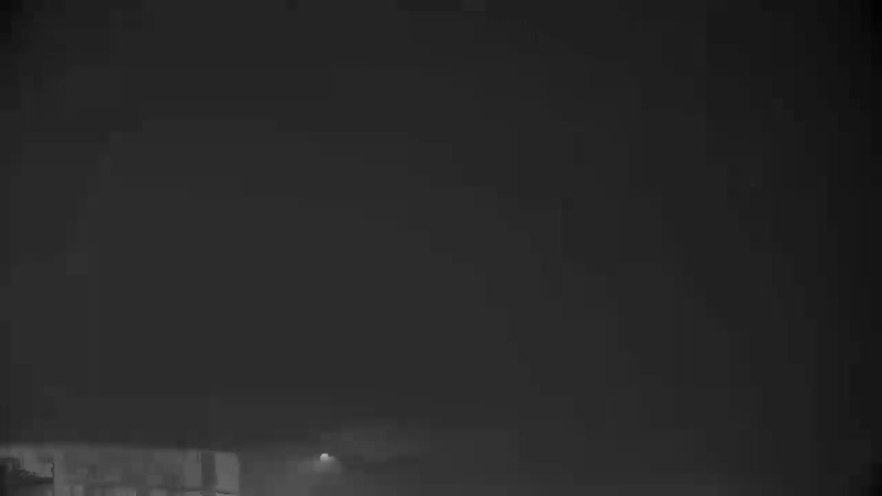 A rustic stone tower featuring arched windows and a dark sloped roof, with two small birds perched on its edge, is set against a backdrop of bare trees and green fields under an overcast sky.