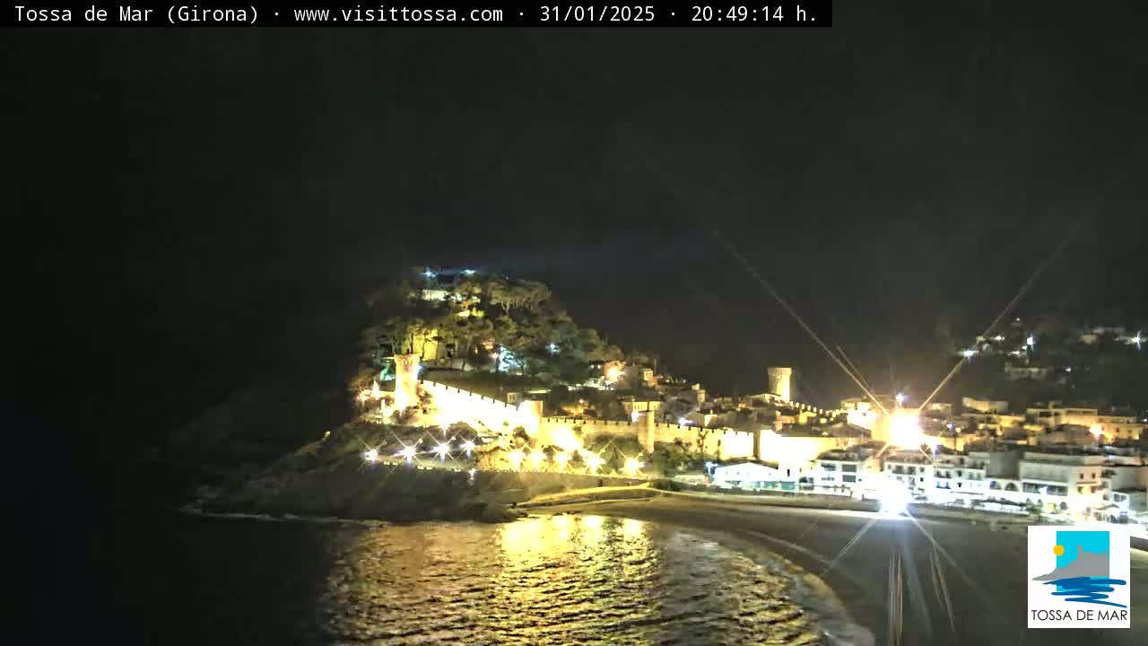 A nighttime coastal town with a hilltop castle is illuminated, overlooking a dark, calm body of water.