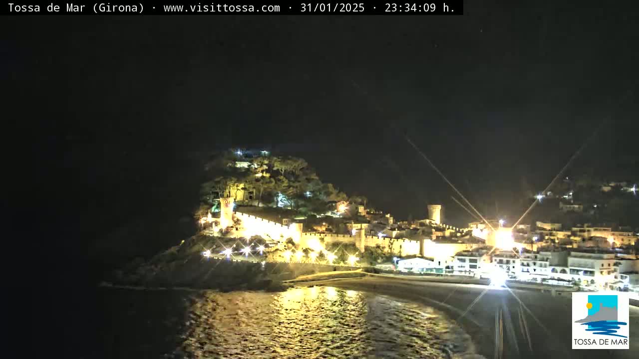 A nighttime coastal scene shows a town with illuminated walls and buildings situated on a hill overlooking a dark body of water.