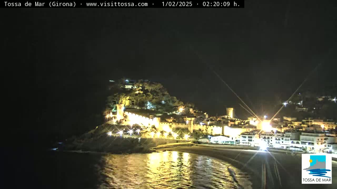 A night-time view of a coastal town with a castle perched on a hill, illuminated by lights, overlooking a dark beach and calm sea.