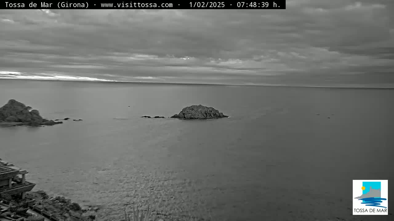 A grayscale image shows a rocky outcropping in calm water under an overcast sky.