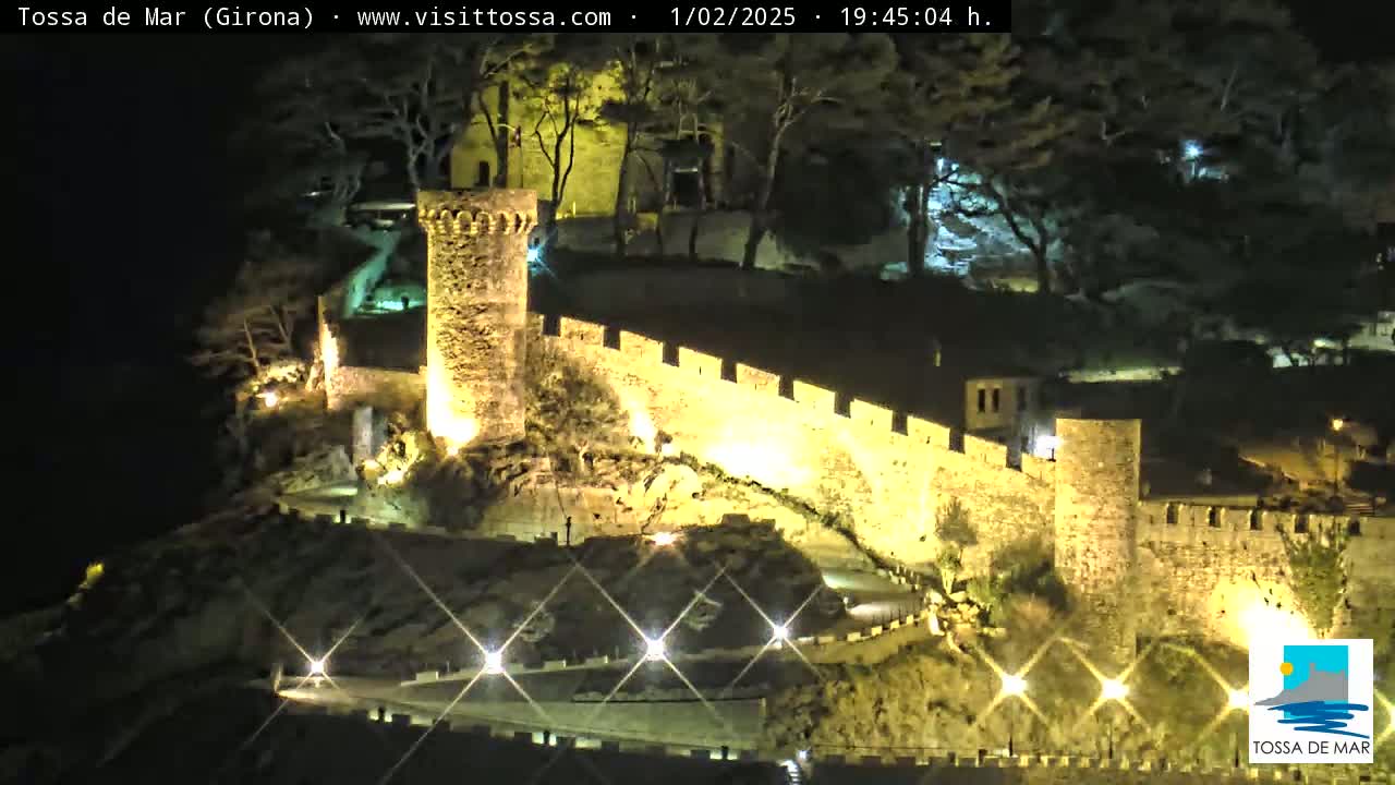 A stone castle wall and tower are illuminated at night, surrounded by dark trees and a winding road.