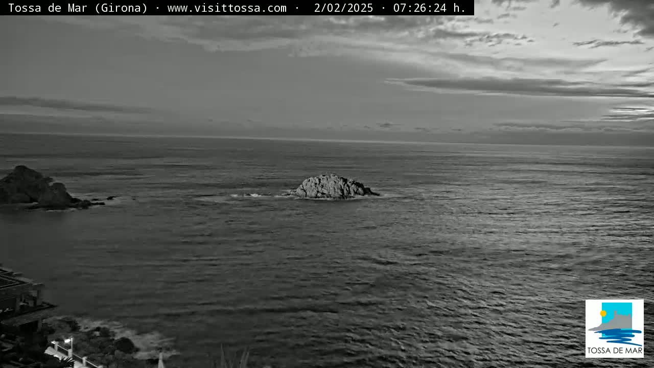 A grayscale image shows a rocky outcropping in the ocean under a partly cloudy sky.