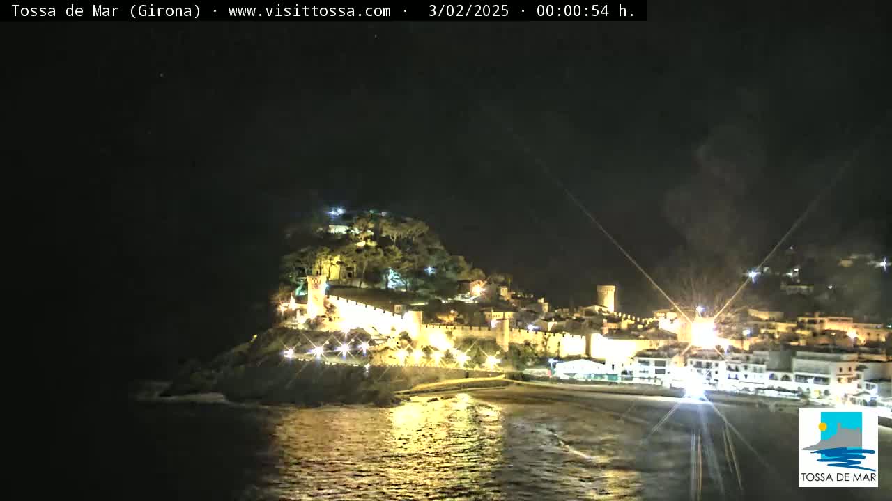 A nighttime view of a coastal town illuminated, with a castle perched atop a hill overlooking a dark, calm body of water.