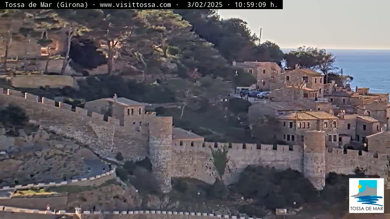 A stone-walled medieval town overlooking a calm sea under a mostly clear sky.