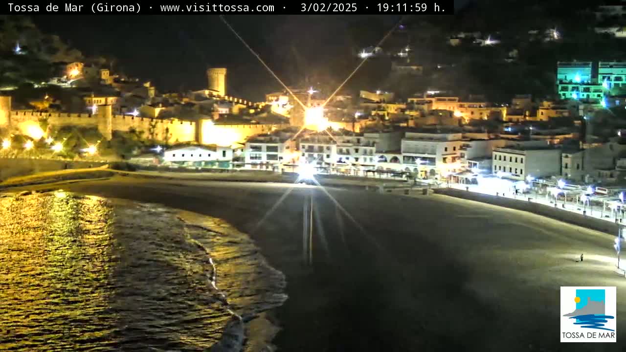A nighttime view of a coastal town with a castle, illuminated buildings, and a beach with gentle waves lapping the shore.