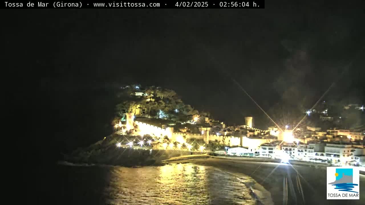 A nighttime coastal town with a hilltop castle is illuminated, its lights reflecting on the dark water.