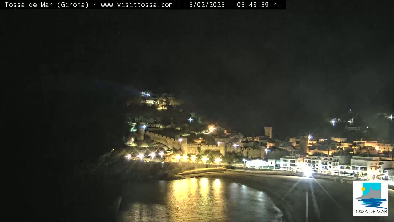 A nighttime coastal town with a castle on a hill is illuminated, its lights reflecting on the calm water below.