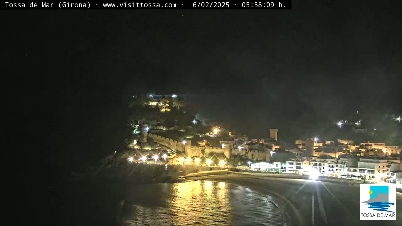 A nighttime coastal town with a medieval castle sits on a hill overlooking a dark beach and calm water.