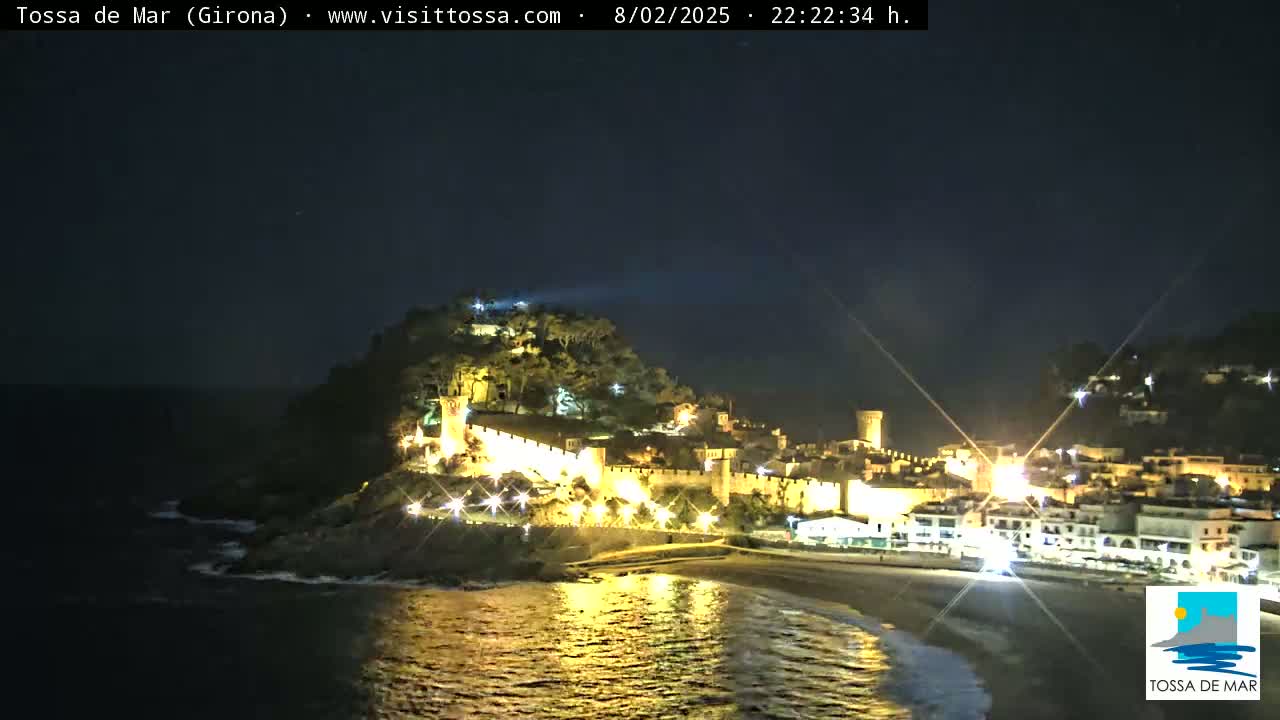 A nighttime coastal town with a hilltop castle is illuminated, with gentle waves lapping the shore under a clear, dark sky.