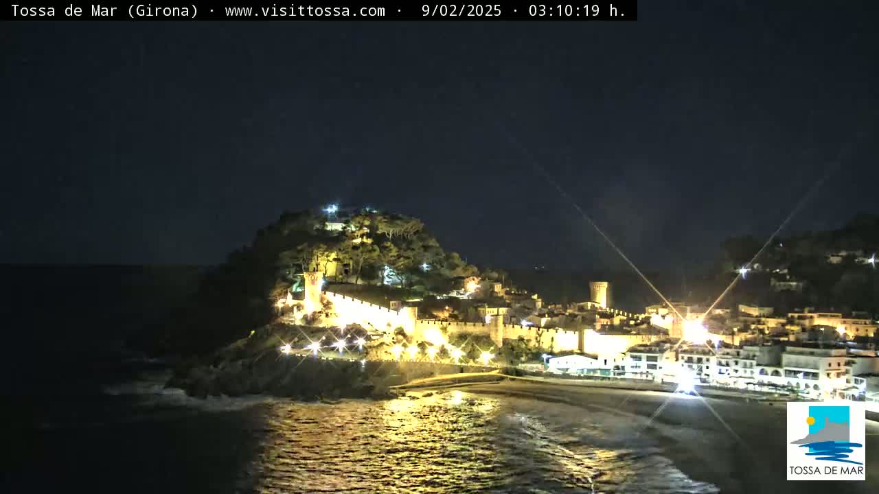 A nighttime coastal town with a walled castle atop a hill is illuminated, overlooking a dark ocean.