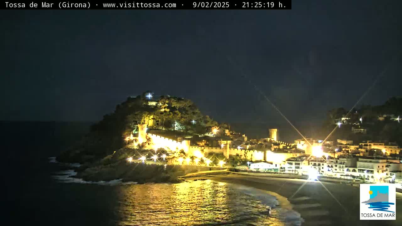 A nighttime coastal town with a hilltop castle is illuminated, overlooking a dark ocean with gentle waves under a clear, dark sky.