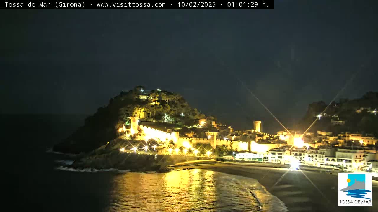 A brightly lit coastal town, nestled on a hill overlooking a dark ocean under a clear night sky.