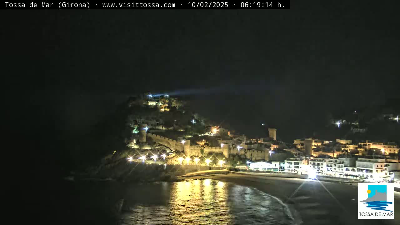 A nighttime view of a coastal town with a medieval-style castle illuminated on a hill overlooking a calm, dark sea.