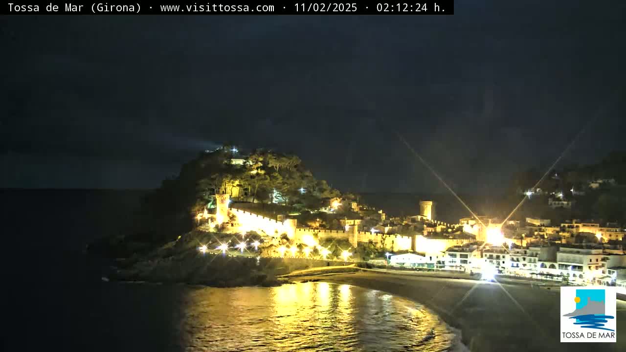 A nighttime coastal town with a hilltop castle is illuminated, overlooking a calm, dark ocean.