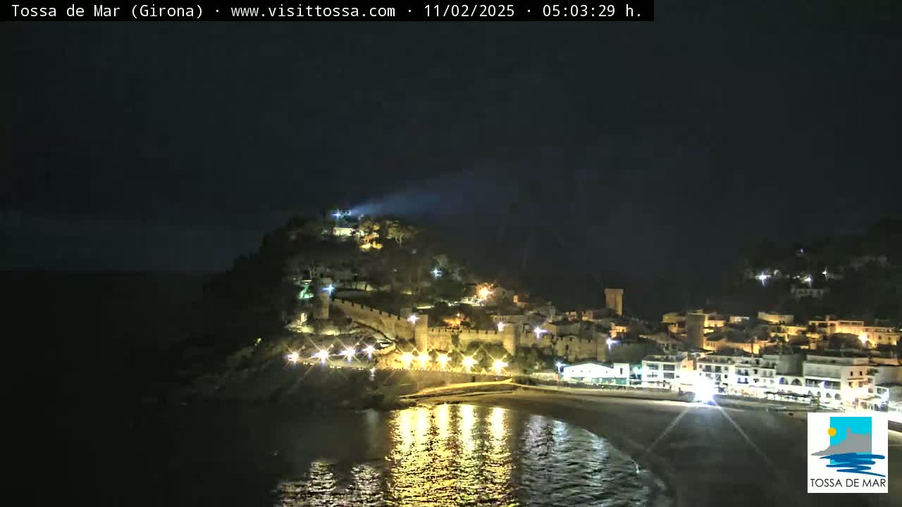 A nighttime coastal town with a medieval-style castle is illuminated on a dark, clear night, its lights reflecting in the calm water below.