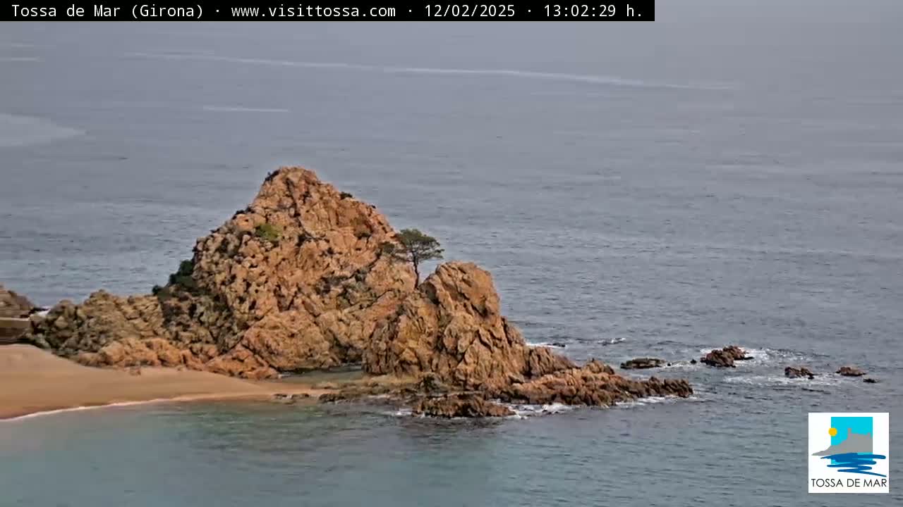 A rocky outcropping with a small tree on top sits in a calm sea near a sandy beach.