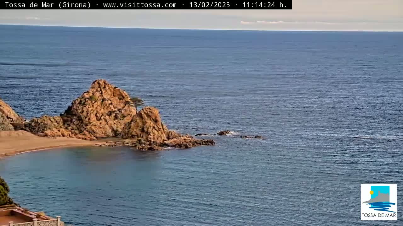 A rocky outcrop with a small pine tree sits in a calm, blue sea next to a sandy cove.