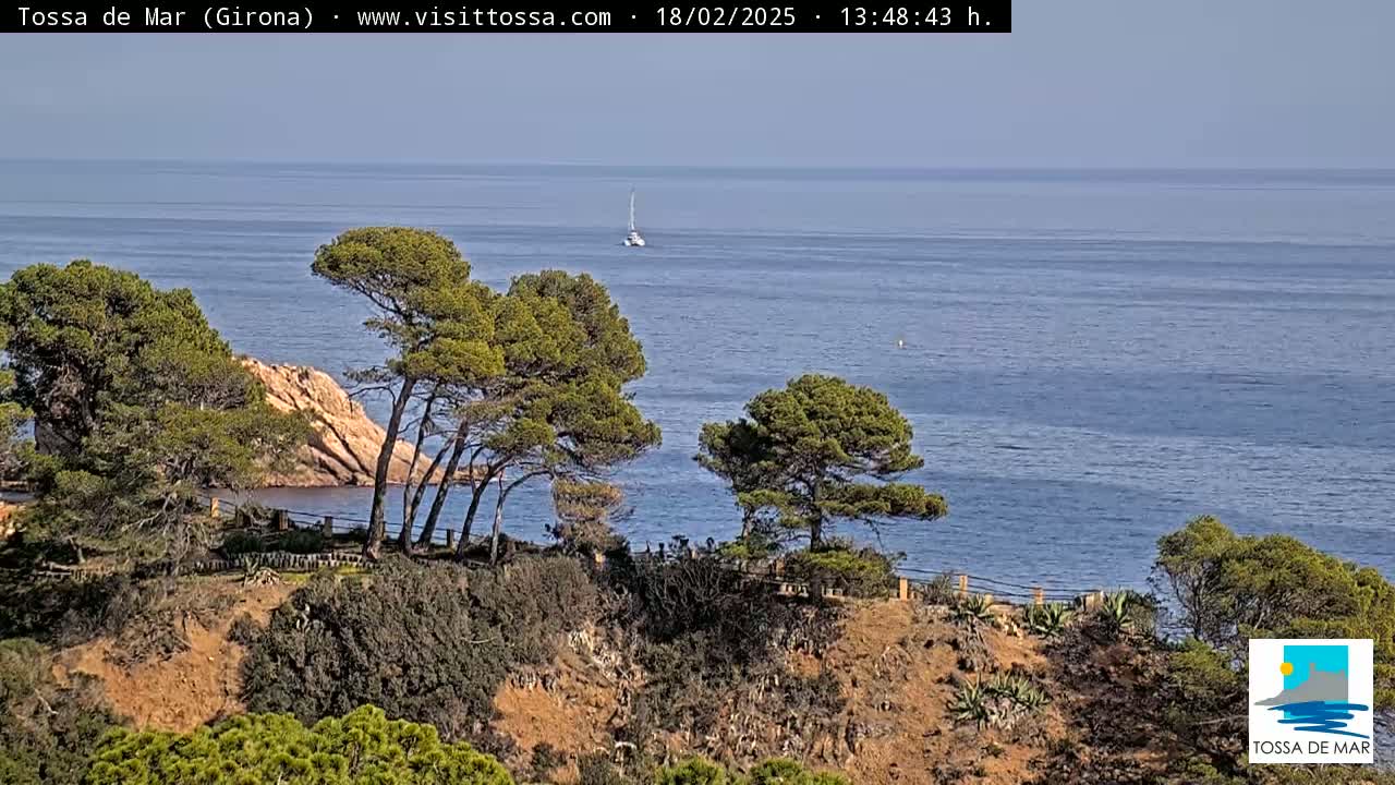 A sailboat is visible on a calm, blue ocean viewed from a clifftop overlooking green pine trees and brown, rocky terrain.