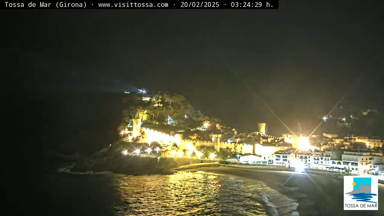A nighttime coastal town with a walled castle is illuminated, overlooking a dark, calm ocean.