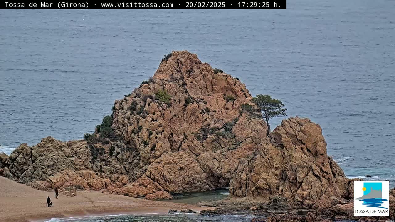 A rocky outcrop with a small tree on top sits on a sandy beach next to a calm, gray sea.