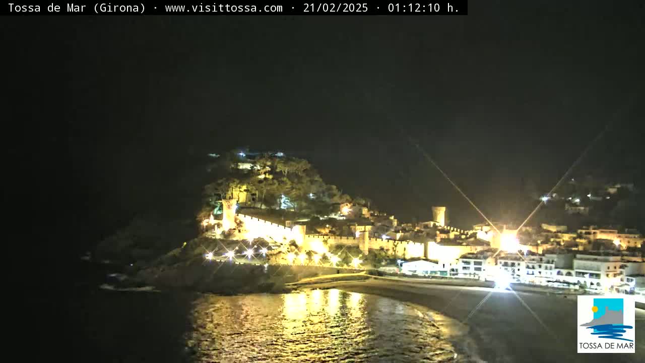 A nighttime coastal town with a hilltop castle is brightly lit, reflecting in the dark water below under a clear sky.
