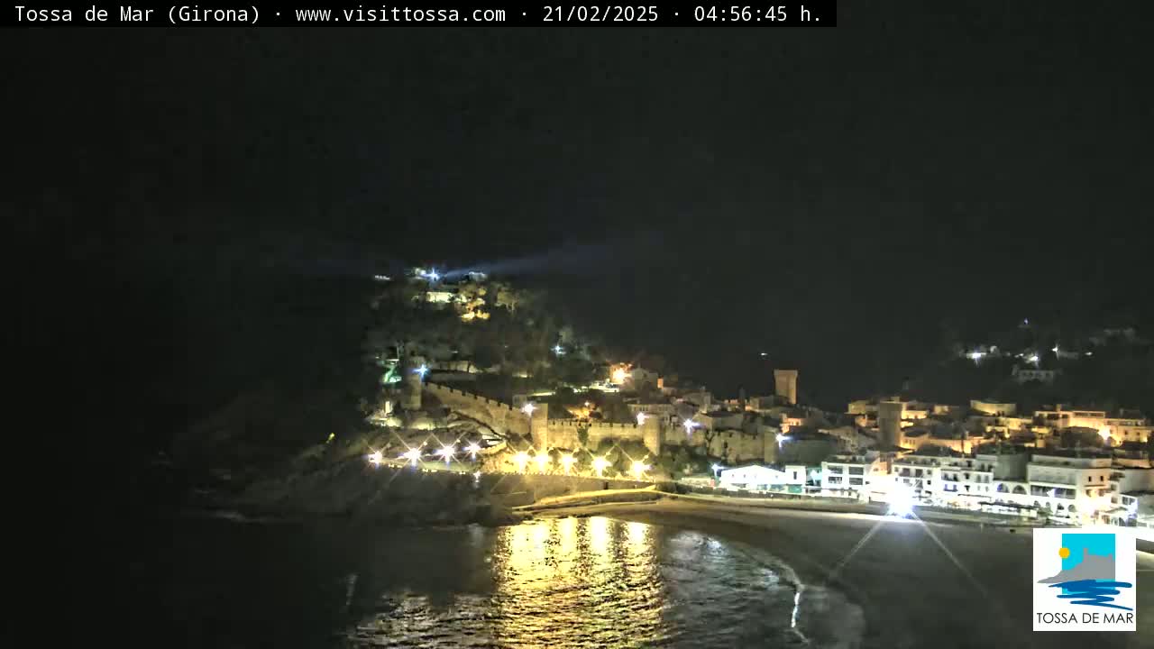 A nighttime coastal town with a medieval castle illuminated, sits on a hill overlooking a dark beach and calm ocean.