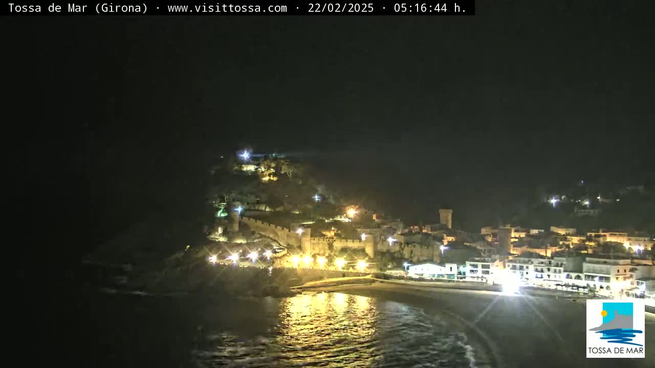 A nighttime coastal town is illuminated, nestled against a hill with a visible castle, overlooking a calm dark sea.
