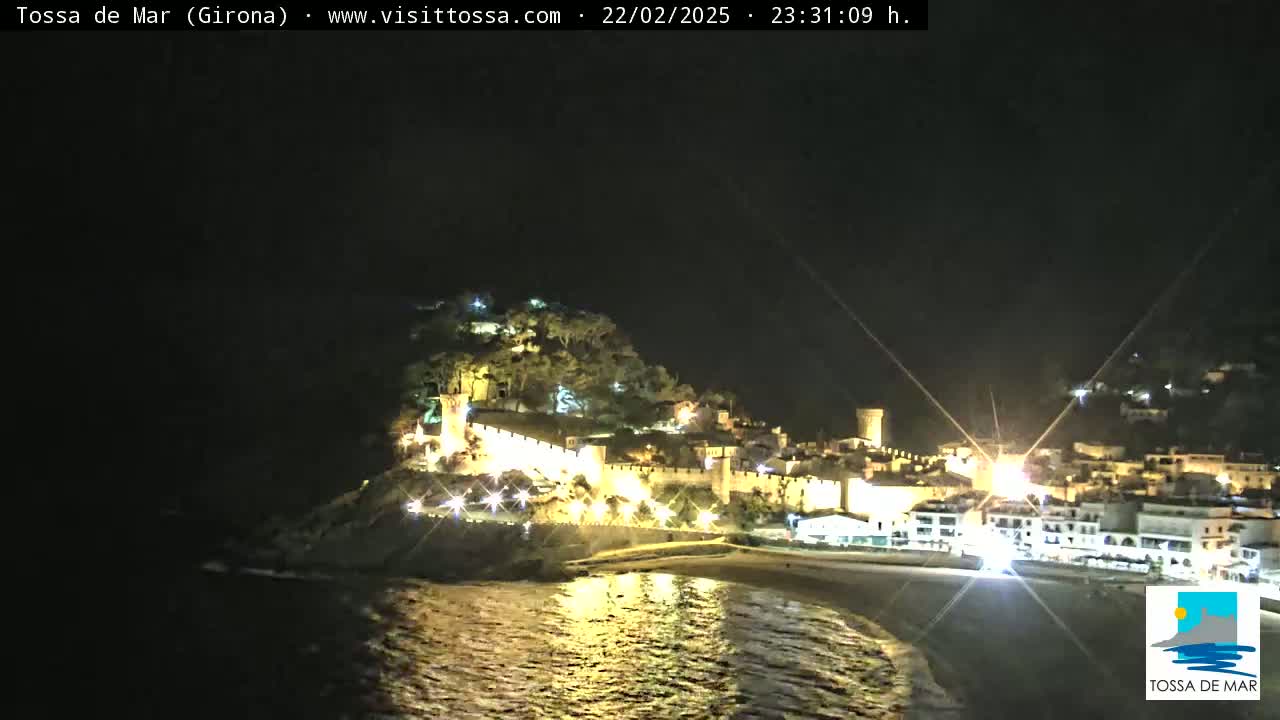 A nighttime coastal view of a town illuminated with lights, situated on a hill overlooking a dark body of water with gentle waves.