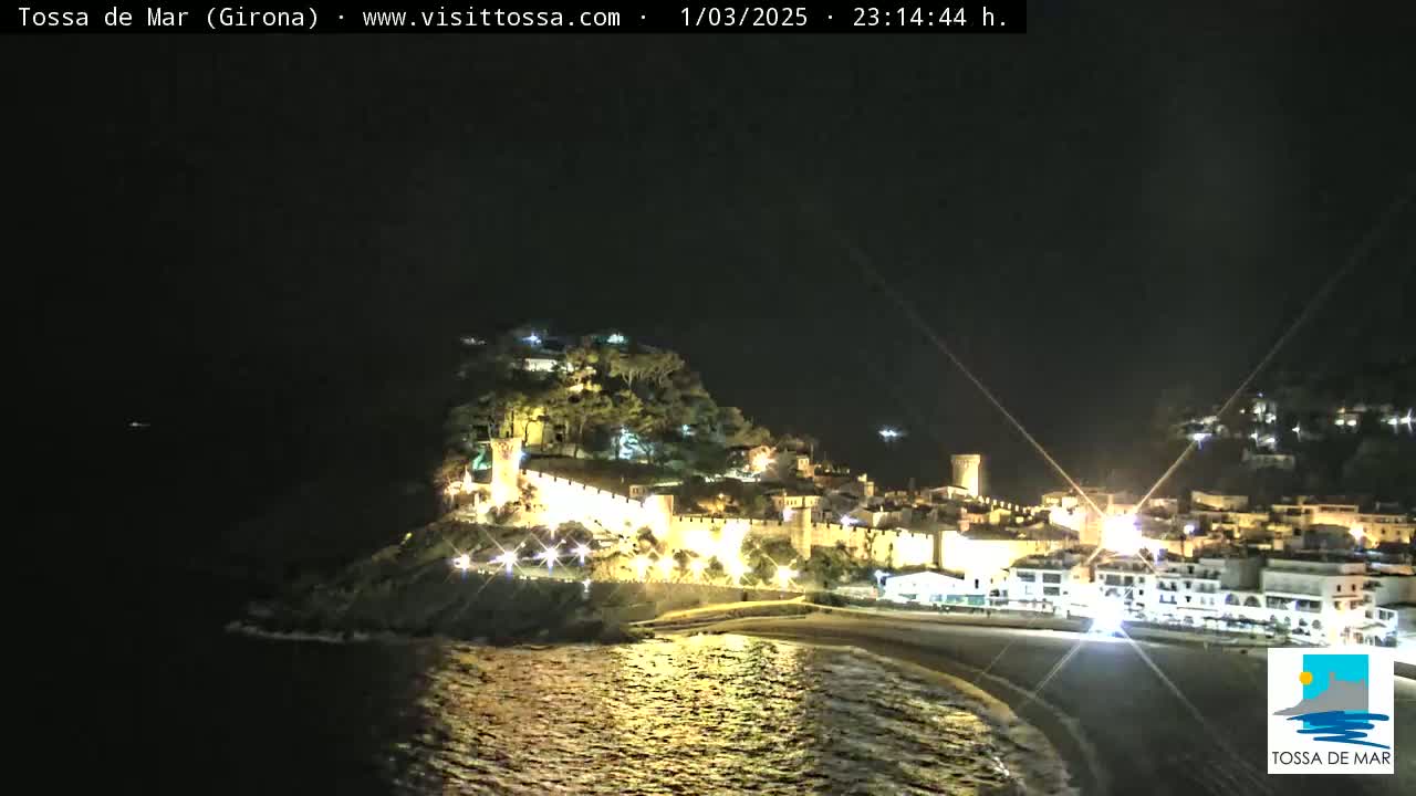 A nighttime coastal town with a walled fortress is illuminated, nestled on a hill overlooking a dark, gently-lapping sea.