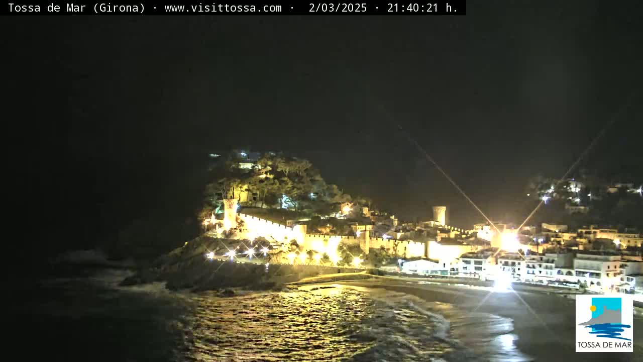 A nighttime coastal town with a medieval walled castle is illuminated, with waves gently lapping at the shore under a clear, dark sky.
