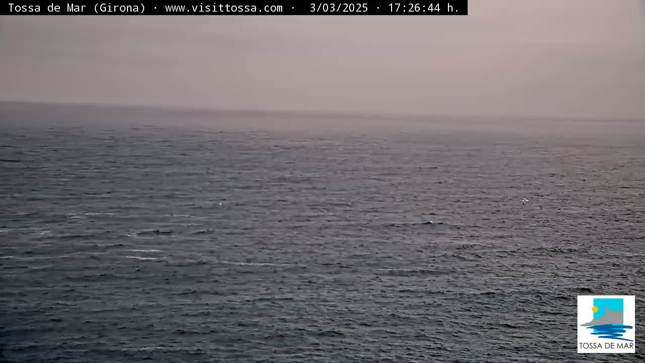 A hazy, overcast day shows a dark-blue ocean with small waves.