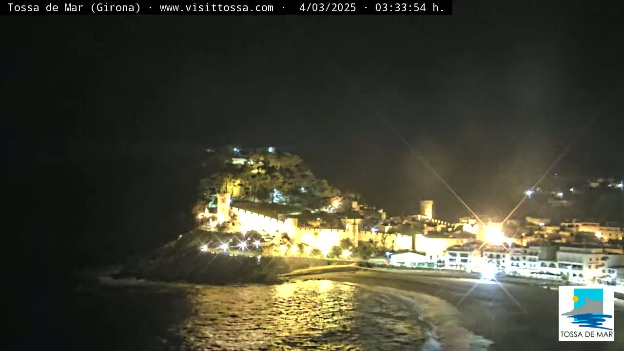 A nighttime view of a coastal town with a lit-up castle perched on a hill overlooking a dark beach and calm water.