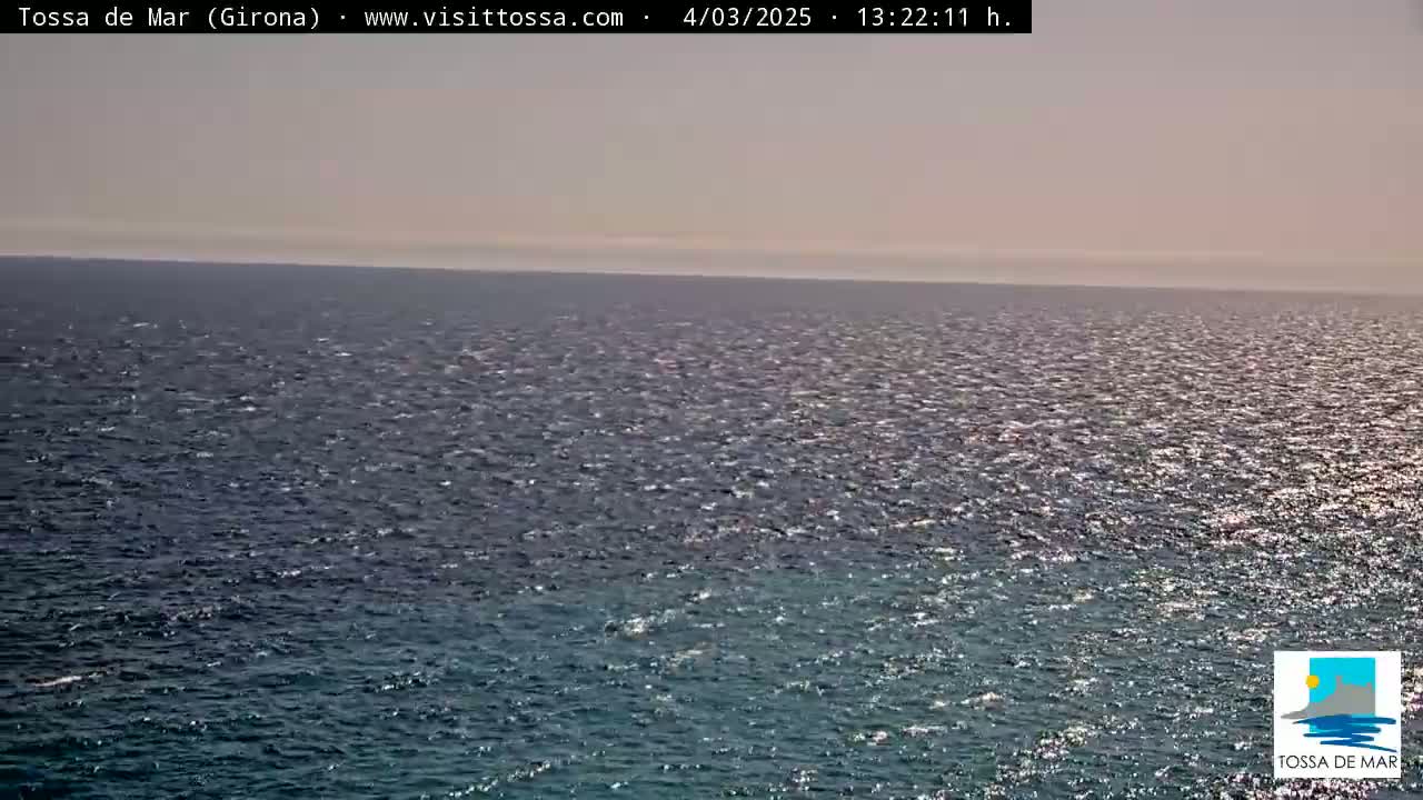 A mostly sunny day shows a wide expanse of slightly wavy dark-blue ocean water.