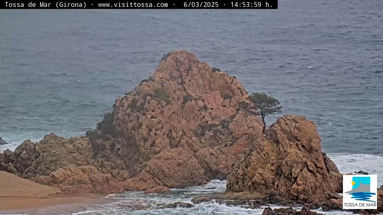 A rocky outcrop with a lone tree sits on a coast with a somewhat choppy sea under an overcast sky.