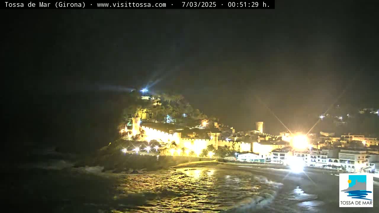 A nighttime view of a coastal town with a castle, illuminated buildings, and gently rolling waves.